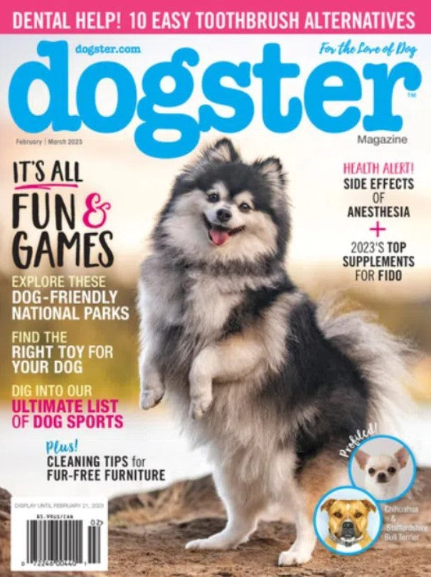 Dogster Magazine 6 Issues BOP Mags