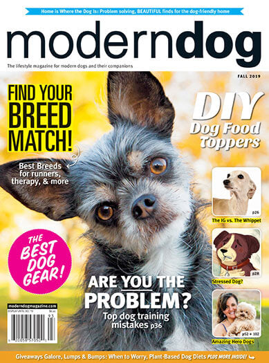 Modern Dog Magazine