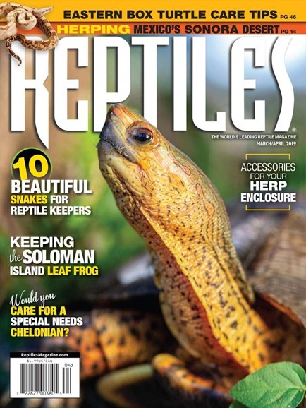 Reptiles Magazine – BOP Mags