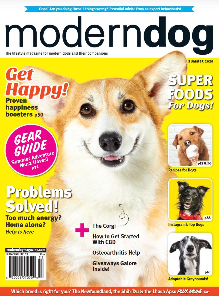 Modern Dog Magazine