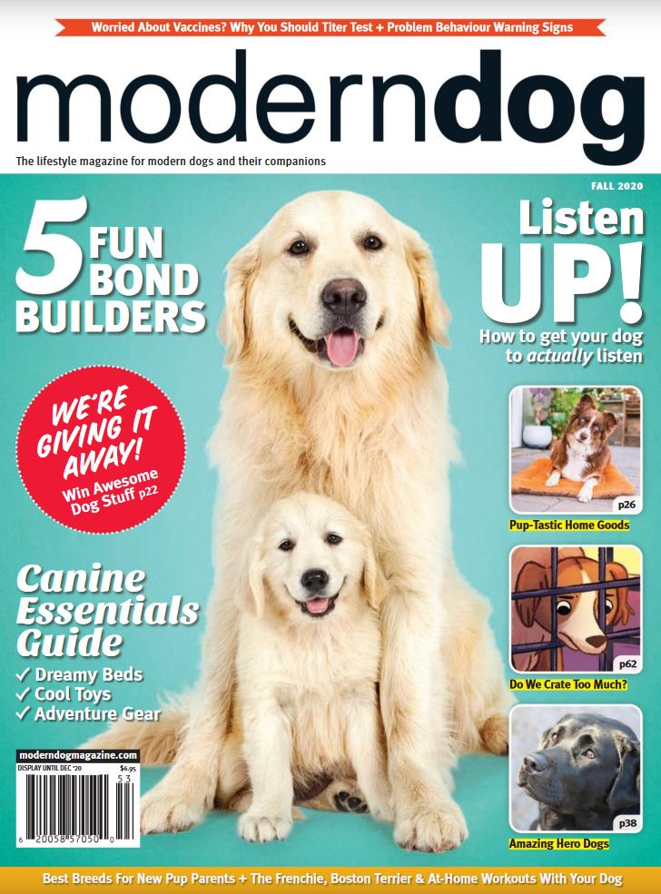 Boredom Busters  Modern Dog magazine